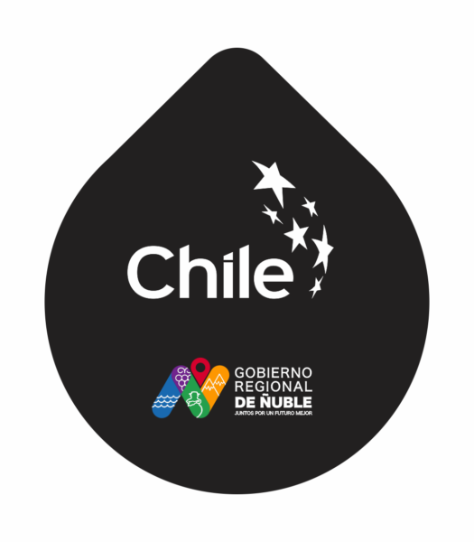 6.CG Pro Chile